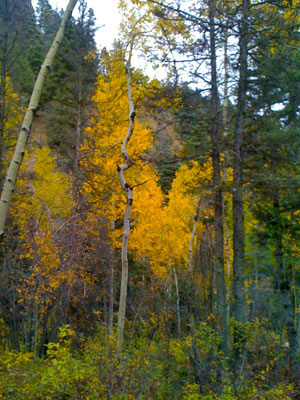 Fall is one of the best times to see Red river