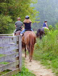 2 hour Horseback Trail Ride